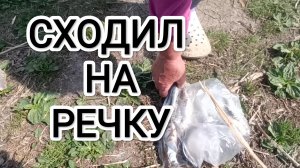 рыбаки рыбачат на речке сходил прогулялся