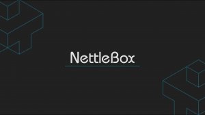 Голографические системы: NettleBox и NettleDesk