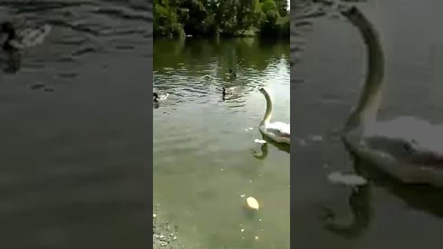 2020. Лето Билефельд смотреть онлайн