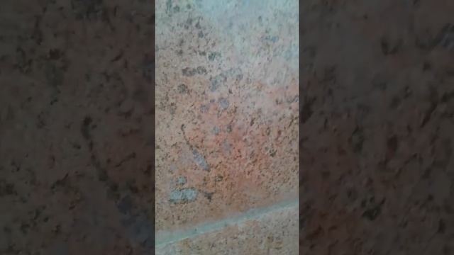 Joni telefonolomac смотреть онлайн