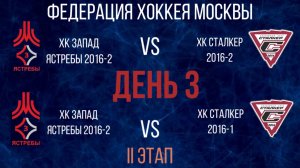 Федерация хоккея Москвы (ФХМ) среди детских хоккейных команд 2016 года. Отборочные игры. День 3.