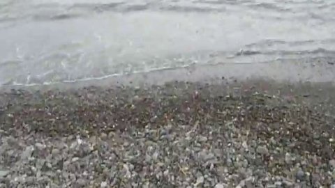 Солнечногорское