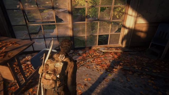 The Last of Us #17