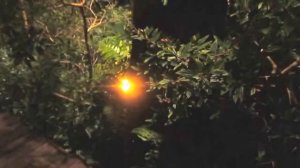 Отель Naithonburi Beach Hotel Phuket 4* остров Пхукет Таиланд