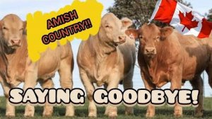 Канадская семья в НН.. Tour through Amish Countryside/ Inglis Falls