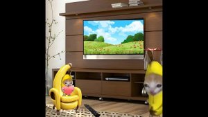 Baby Banana Cat Compilation 😺❤️ 2 Minutes #27