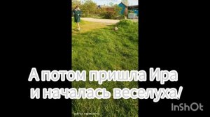 Малыши ши тцу гуляют