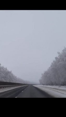Зимняя дорога (туман и снег)