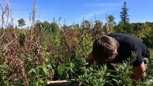 VLOG 3 посёлок Решетово(Ашинскийрайон) 4К.Поездка к пруду.