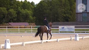 Ксения Морозкина и Де Марко. Выездка. Большой приз - 65,543%