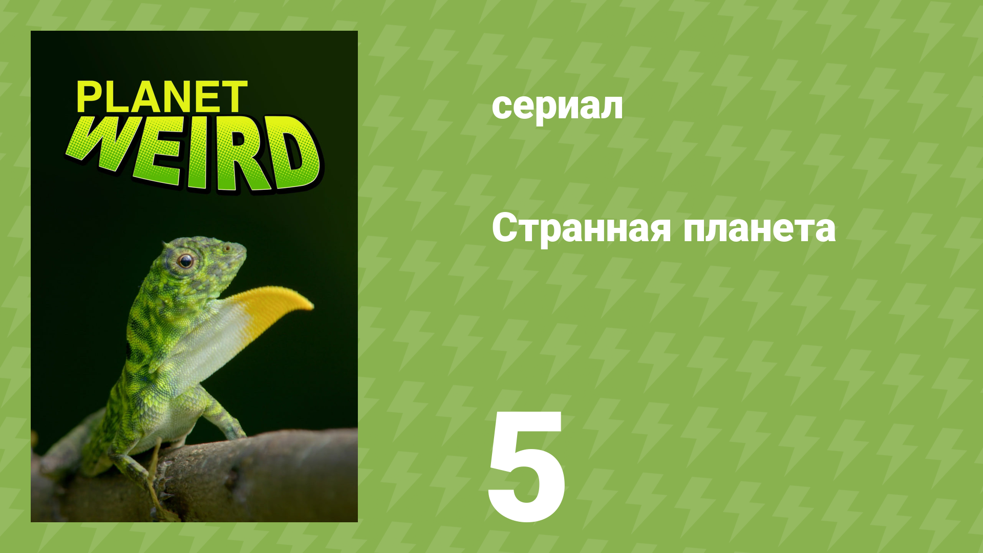 Странная планета 5 серия «Бойцовский клуб» (документальный сериал, 2024)