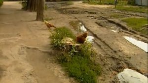 Дивеево   Четвертый удел Богородицы 2001