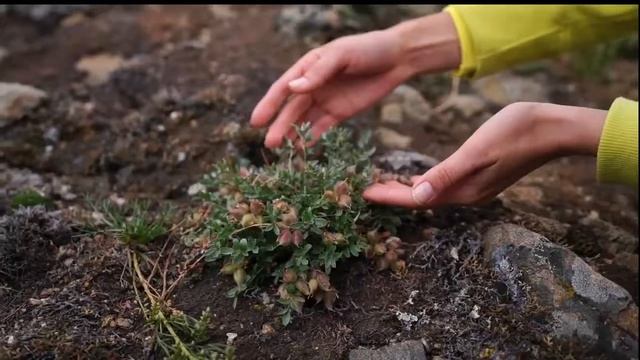 Путешествие на Байкал Охотники за травами 3 смотреть онлайн