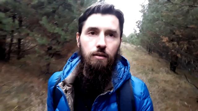 Поход за грибами в лес смотреть онлайн