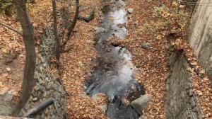 Тегеран - столица Ирана │ IRANMAG