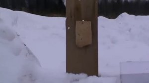 МР 79 - 9 ТМ Отстрел патронов 60 и 91 Дж. по мясу.