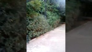 Южное взморье (территория)