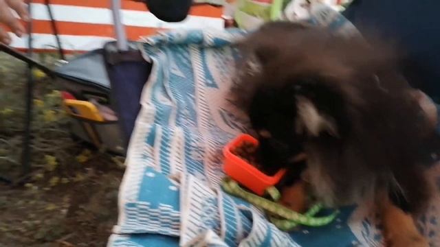 Прицеп капля, первый выезд. смотреть онлайн