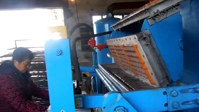 BTF 3-4 оборудование для производства яичных лотков смотреть онлайн