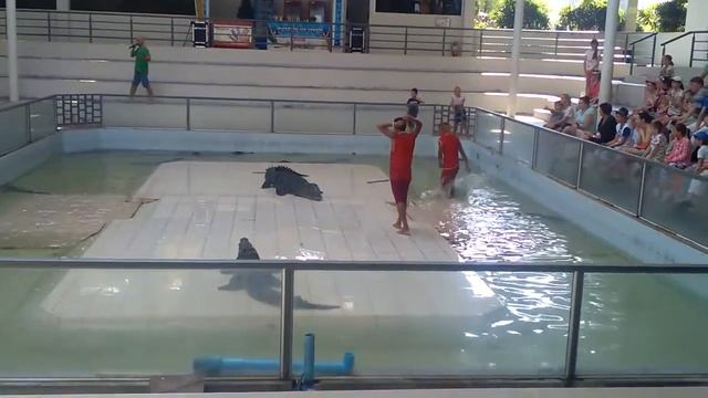 Ми в ширланке смотреть онлайн