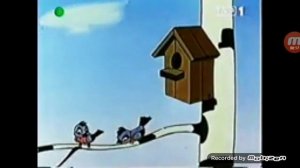 Под Крышей Дома Твоего 41