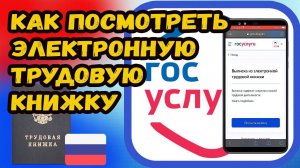 Электронная Трудовая Книжка: Госуслуги, Где посмотреть ее сведения, Выписка