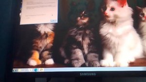 Windows 7