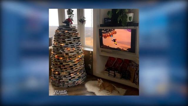 Подсмотренно в сети 15 12 2020 смотреть онлайн