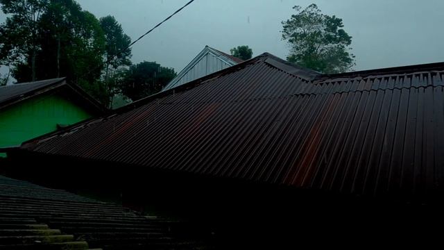  Проливной дождь на жестяной крыше для сна 247 сон мг