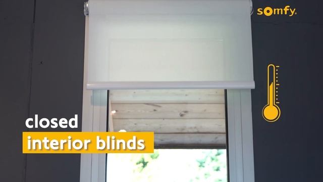 Indoor Protection смотреть онлайн