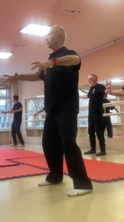 #358 Минута Ицюань / Ицюань и Цигун в Мурманске / Комплекс Цигун / Столбовая практика (21.04.25)