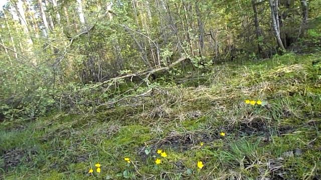 одиночный поход 2 часть. Нежданчик. смотреть онлайн