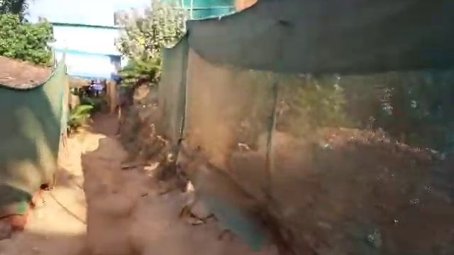 Озеро в Арамболь гоа . Как доить .Рынок в арамболе смотреть онлайн