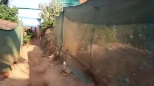 Озеро в Арамболь гоа . Как доить .Рынок в арамболе
