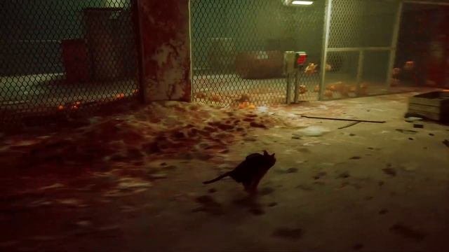 Stray Прохождение часть 3: Крыши