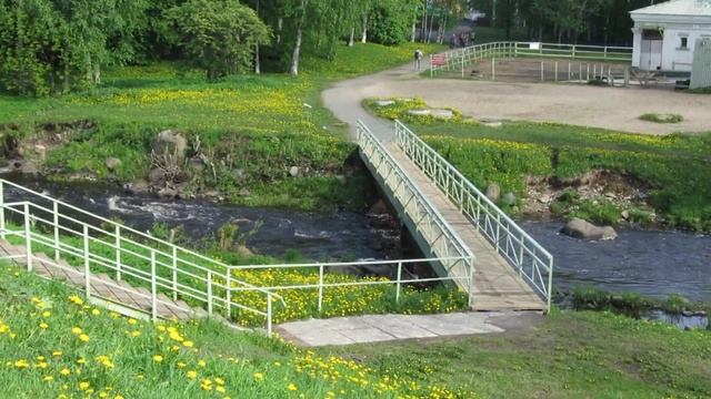 02.06.2024. Карелия. Петрозаводск. Вид на мост Кипучка близ отеля Карелия. Река Лососинка смотреть онлайн