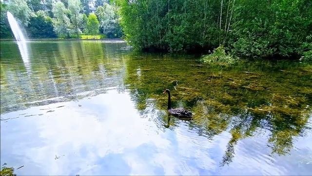 #Прогулка_по_Зеленограду часть 1