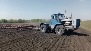 культивация