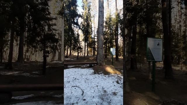 12 апреля 2021 г. смотреть онлайн