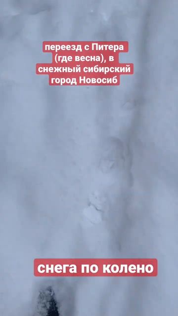 #переезд #многодетнаясемья #сибирь #новосибирск #питер #спб смотреть онлайн