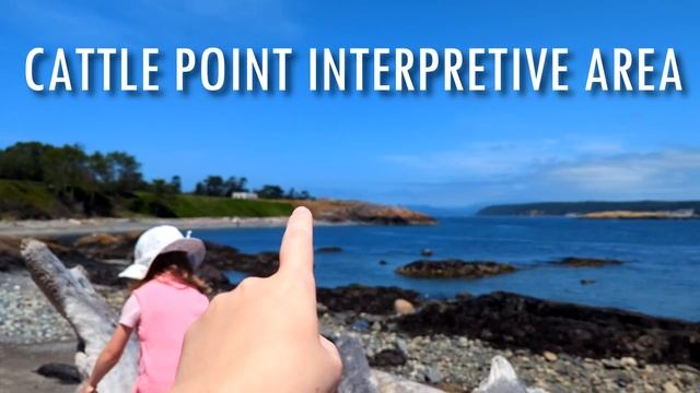 Штат Вашингтон ОСТРОВА паромы путешествия | Сан Хуан, Вашон Что интересного | жизнь в США смотреть онлайн