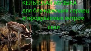 КЕЛЬТСКАЯ МУЗЫКА для блуждающих сердец и продуваемых ветром скал.