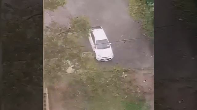 «Как? И зачем?»: видео с Prius и двумя парнями на Чуркине набирает популярность смотреть онлайн