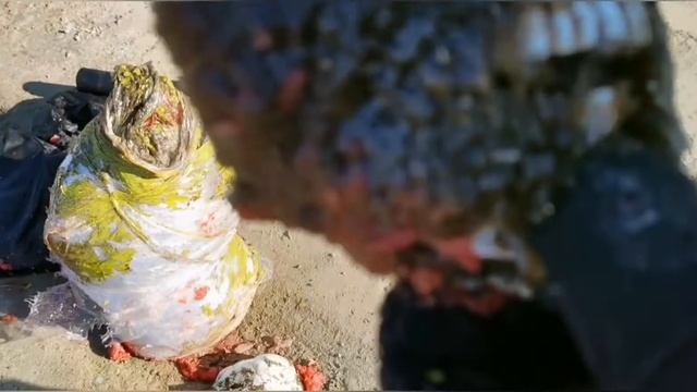 Тест травматического патрона 366 ткм от Техкрим и пули от AS смотреть онлайн