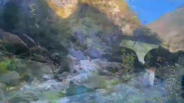 Абхазия круглый год: однодневный тур по знаковым местам из Адлера и Сочи 🧭🚸🌴🍷✌🤩🙏