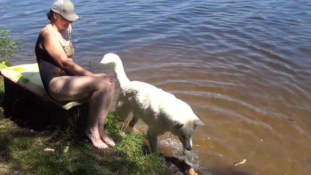 Купанье в Тишково смотреть онлайн