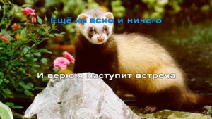 Под крышей дома твоего - караоке для детей - песенки дл?