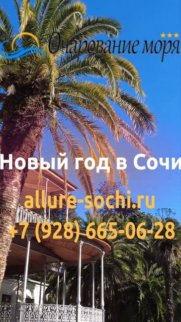 Новый год Сочи Хоста сегодня, отель с бассейном, сауна, СПА, хамам #хоста #сочиотели #отель