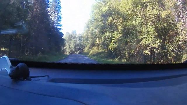 Отдых в Карелии 2023 - Турбаза Хекселя смотреть онлайн