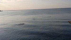 Санаторий Симеиз 2024